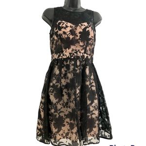 Minuet Black Lace Sleeveless Dress